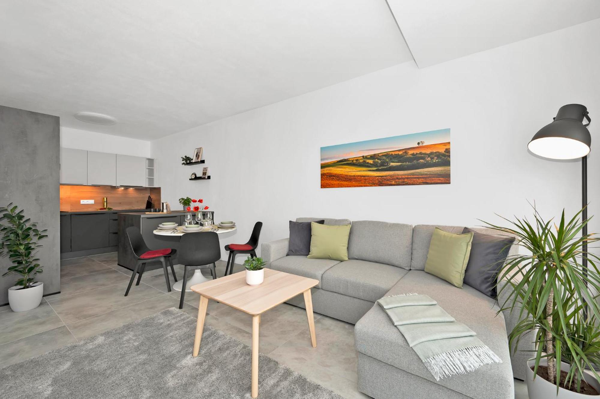Fully Equipped Apartments With Terraces, Free Garage Parking, Netflix & Ac - By Apartmany Slapanice Cz ภายนอก รูปภาพ
